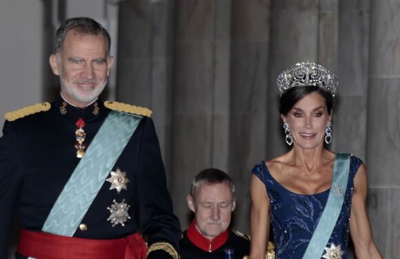Queen Letizia and King Felipe of Spain attend state banquet in Denmark