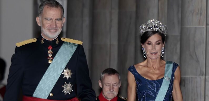 Queen Letizia and King Felipe of Spain attend state banquet in Denmark