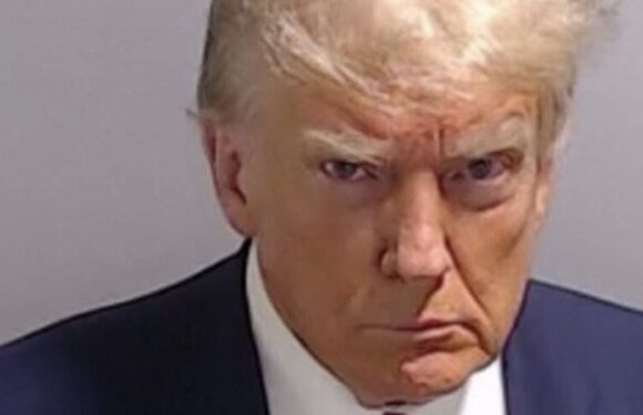 RICHARD LITTLEJOHN: At least our PM isn't completely gaga