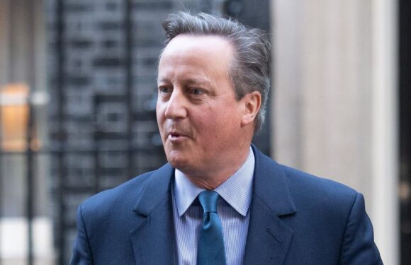 RICHARD LITTLEJOHN: The Posh Boys are back in charge