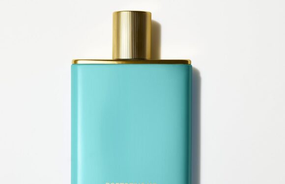 ROSIE GREEN'S best blow-the-budget buys