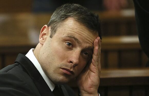 Reeva Steenkamp's mother reveals agony at Pistorius parole hearing