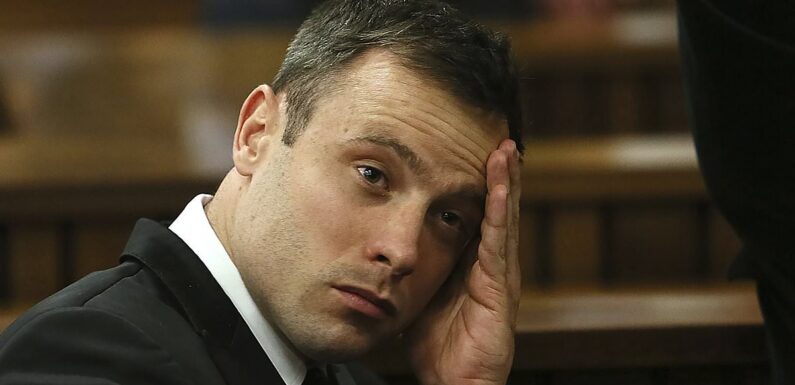 Reeva Steenkamp's mother reveals agony at Pistorius parole hearing