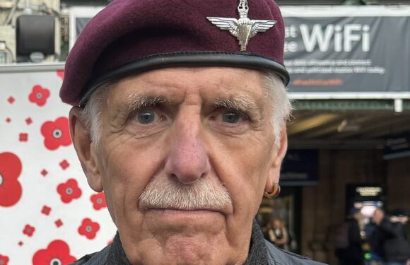 Revealed: Poppy seller 'punched and attacked' by pro-Palestine mob