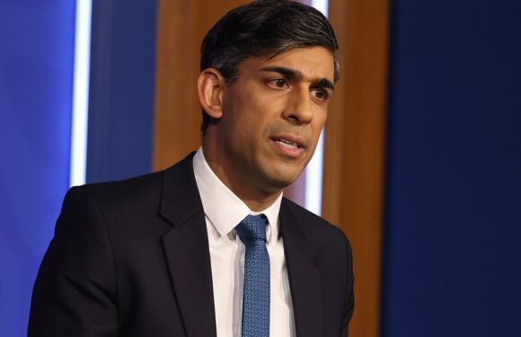 Rishi Sunak springs to defence of '30p Lee' Anderson