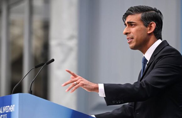 Rishi Sunak woos business leaders at glitzy investment summit