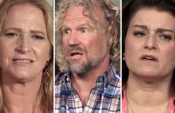 Robyn Brown Says It 'Stings' Not Be Invited to Christine's Birthday Party After Kody Split