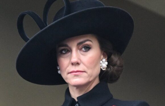 Royal fans convinced Princess has repurposed Queen's brooch