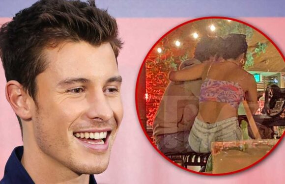 Shawn Mendes Spotted With Mystery Woman After Camila Cabello Split
