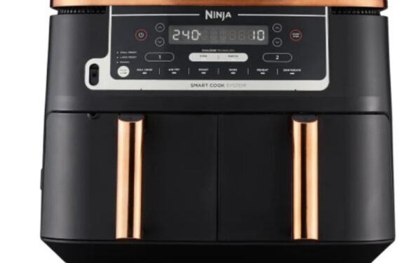 Shoppers are going wild after spotting Ninja have already slashed air fryers by £100 in their early Black Friday sale | The Sun