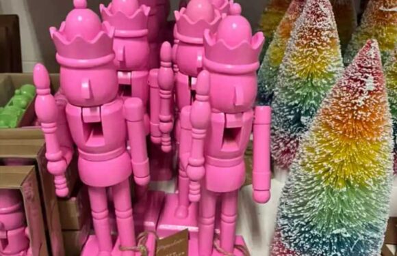 Shoppers go wild as Paperchase is BACK on the shelves – there's loads of cute Christmas bits and prices start at £2.50 | The Sun