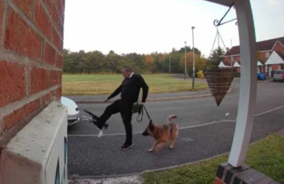 Sick dog walker caught on camera kicking cat days before it died swerves jail as he callously claims 'I saw red' | The Sun