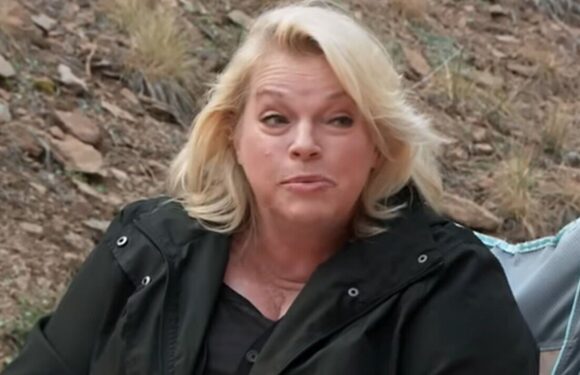 Sister Wives Janelle Brown looks incredible as she flaunts weight loss