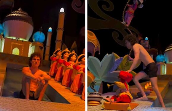 Streaker Ditches Clothes to Roam Disneyland's 'It's a Small World' Ride