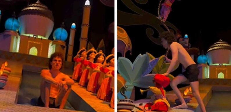 Streaker Ditches Clothes to Roam Disneyland's 'It's a Small World' Ride