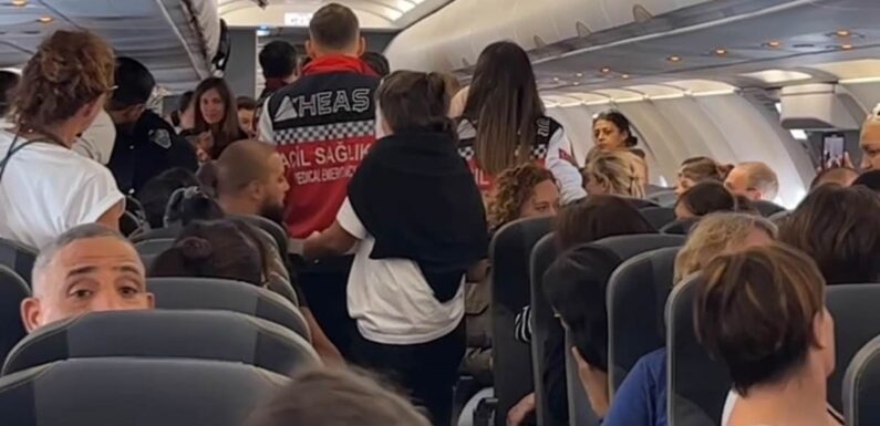 Stunned plane passengers look on as mother gives birth on plane