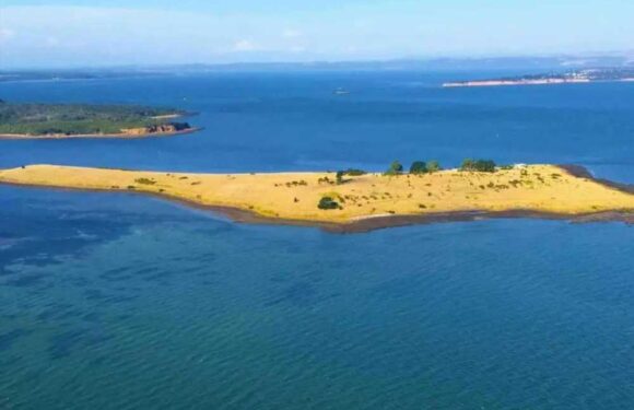 Stunning paradise island for sale – and you won’t have to pay ANY bills to live there | The Sun