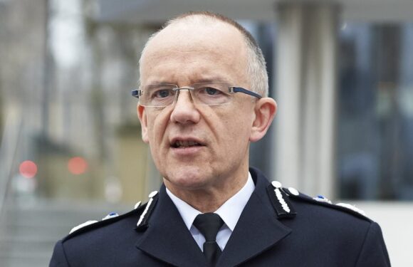 Sunak will hold Met Chief 'accountable' if Remembrance weekend wrecked