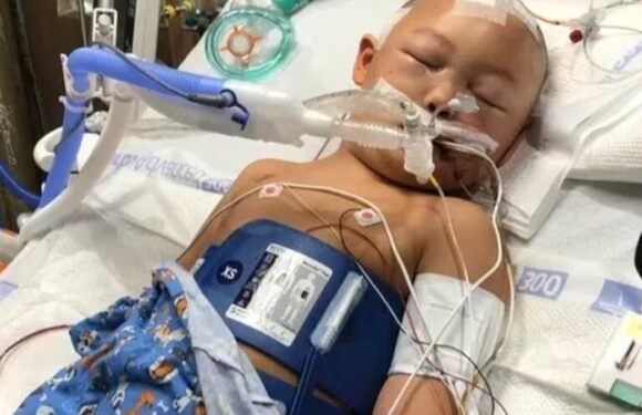 Texas boy dies after intruder forced his way and beat him with a bat