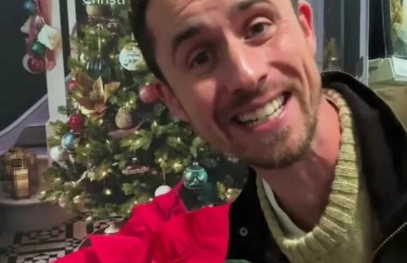 The 4 tricks to keep your poinsettia alive over Christmas & why you must never buy a plant from outside a petrol station | The Sun