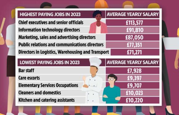 The lowest and highest paying jobs of 2023 revealed and you don't always need a degree – is yours on the list? | The Sun