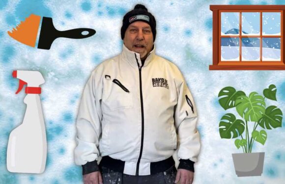 The mould mistake you MUST avoid or it could cost you £1,000 – and my tips for how to tackle it instead | The Sun