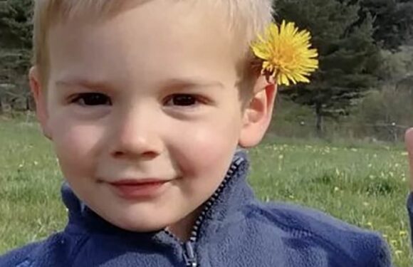 The mystery of little Emile, the missing two-year-old French boy