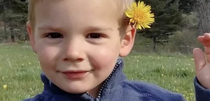 The mystery of little Emile, the missing two-year-old French boy