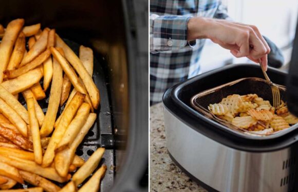 The reason why you shouldn’t buy an air fryer – and they aren’t always cheaper than ovens | The Sun