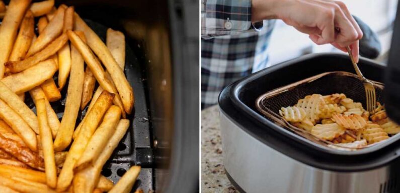 The reason why you shouldn’t buy an air fryer – and they aren’t always cheaper than ovens | The Sun