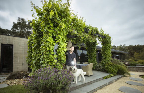 The tree change towns where it’s becoming cheaper to find a home