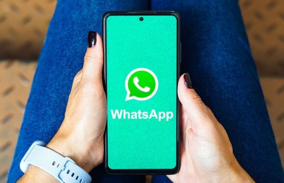 There’s a new way to keep your WhatsApp chats hidden and private