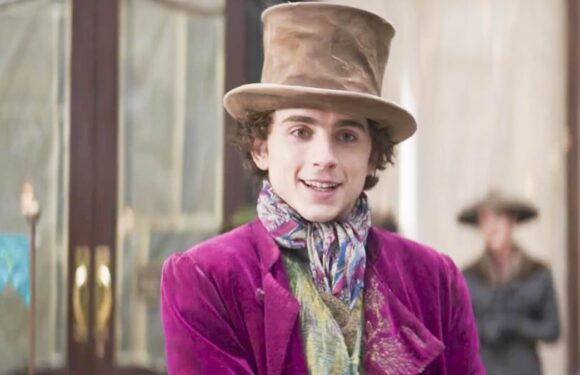 Timothee Chalamet praised for 'pitch-perfect performance' in Wonka