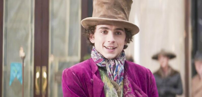 Timothee Chalamet praised for 'pitch-perfect performance' in Wonka