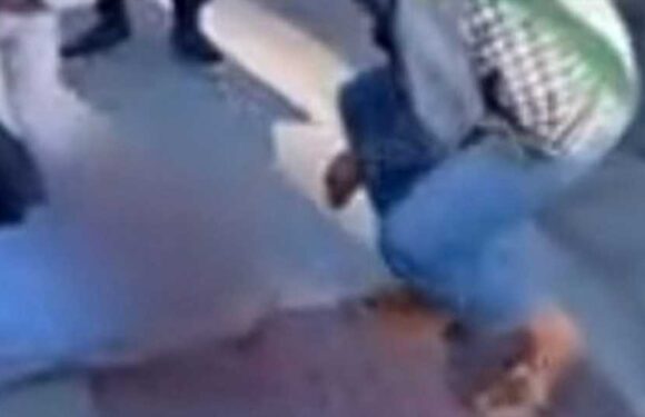 Tragic details in Paul Kessler's death after Jewish man fatally injured in clash at Israel-Palestine rally in California | The Sun