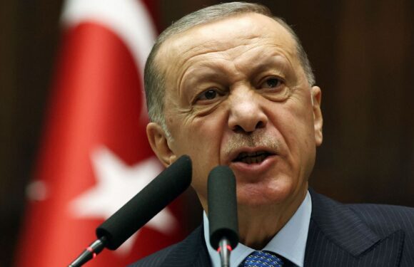 Turkey ‘least trustworthy’ ally as NATO weakened by Erdogan’s Hamas support