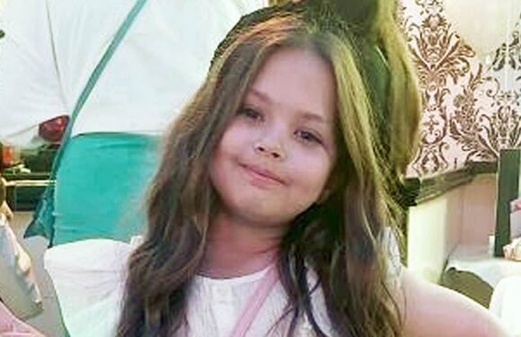 Two men jailed for murdering Ashley Dale named in Olivia trial