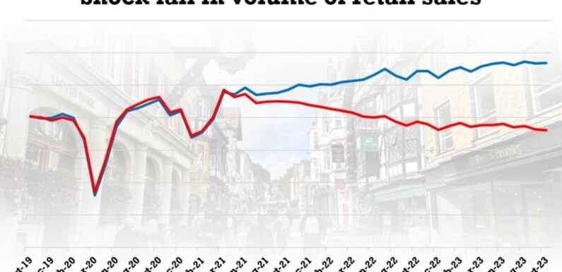 UK High Street suffers shock sales fall to lowest level since Covid