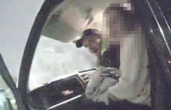 Van driver who murdered medic laughs and mocks police as he's arrested