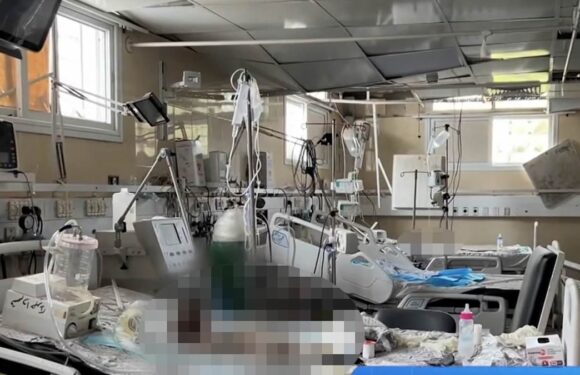 Video filmed in Al-Nasr Hospital allegedly shows babies 'left to die'