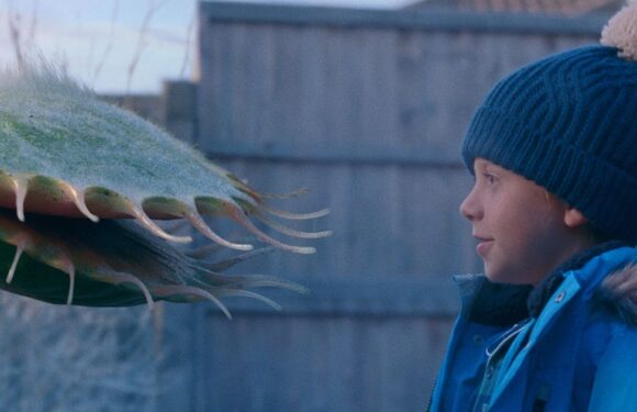 WATCH: John Lewis Christmas advert sees Venus flytrap cause mischief for young boy