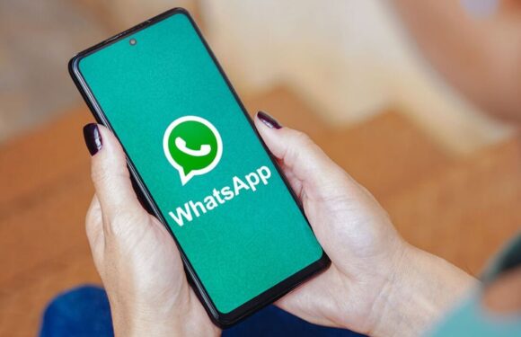 WhatsApp warning over new fee for Android users – here’s how much you’ll pay