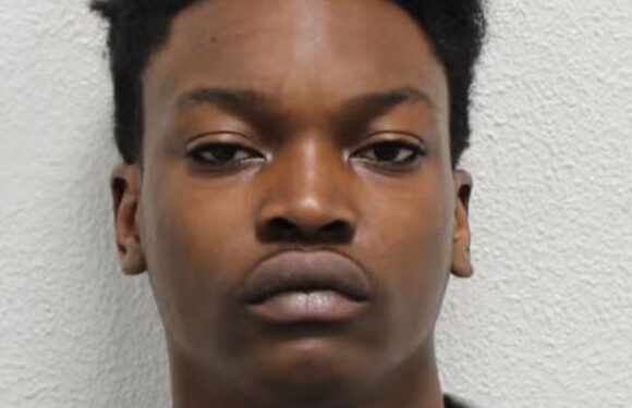 Where is Brandon McNeil now? | The Sun