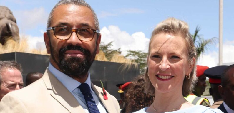 Who is James Cleverly's wife Susie and do they have any children? | The Sun
