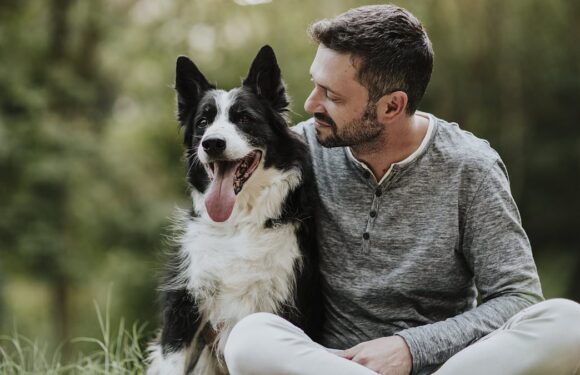 Who is happier – cat or dog owners? Science can settle that