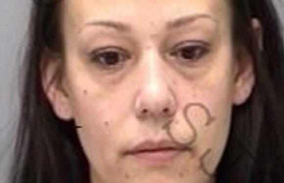 Woman ‘behind global ring that paid for vids of baby monkeys being TORTURED said she got sick thrill imagining the pain' | The Sun