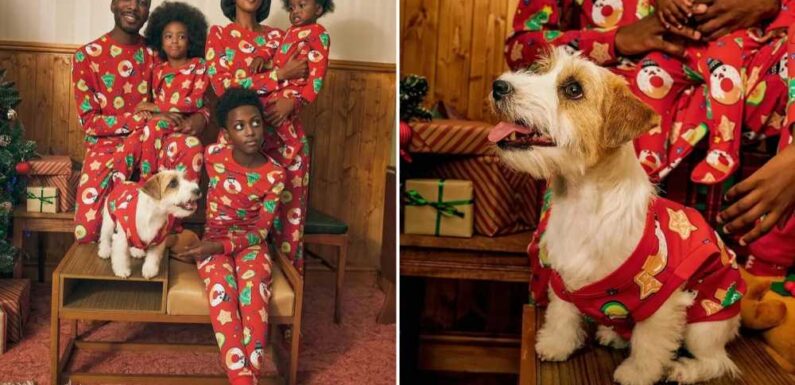 You can now get matching family Christmas PJs at Primark – prices start at £5 and they AREN’T just for humans | The Sun