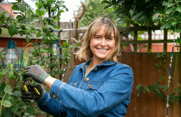 You don't need pricey products to transform your garden – here's 8 ways to get plants for free | The Sun