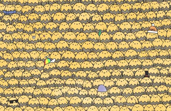 You have 20/20 vision if you can spot the queen bee among her hive in less than 15 seconds | The Sun