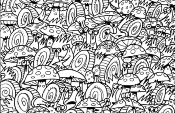 You have the eyes of an expert driver if you can spot the car in this brain-melting optical illusion in just 12 seconds | The Sun